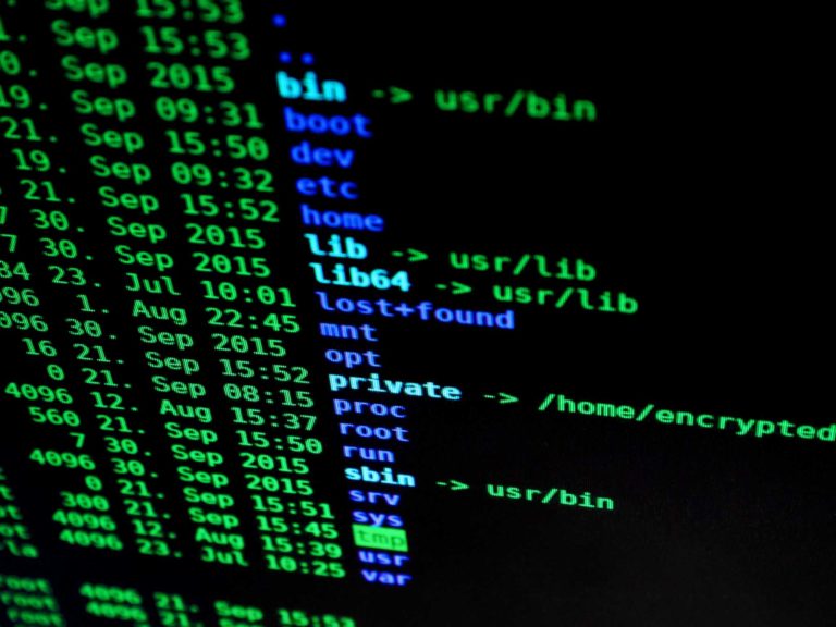 How to Find Files or Folders in Linux