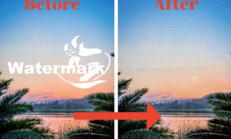 Best Watermark Remover Tools