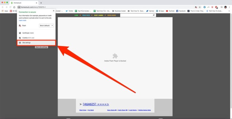 Does Flash work on Chrome?