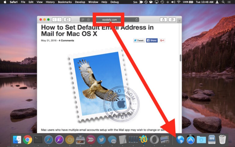 How do I add a website icon to my Mac desktop?