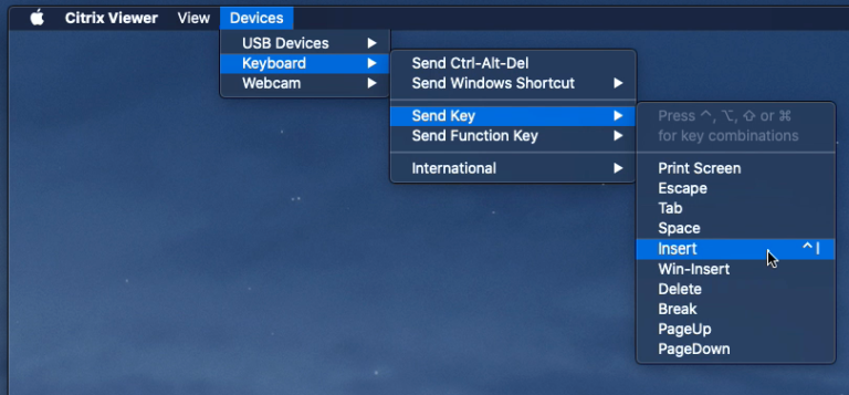 Hvordan Ctrl Alt Del i Citrix Mac?