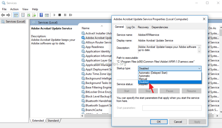 How do I enable Adobe updates?