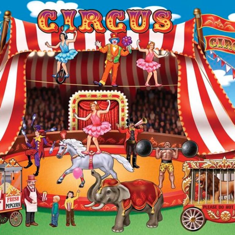 How many different circuses are there?