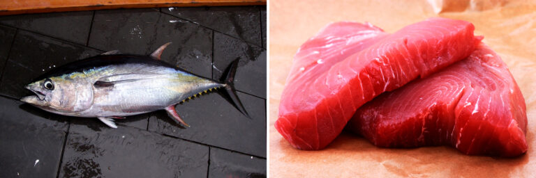 Is tuna red meat or white meat?