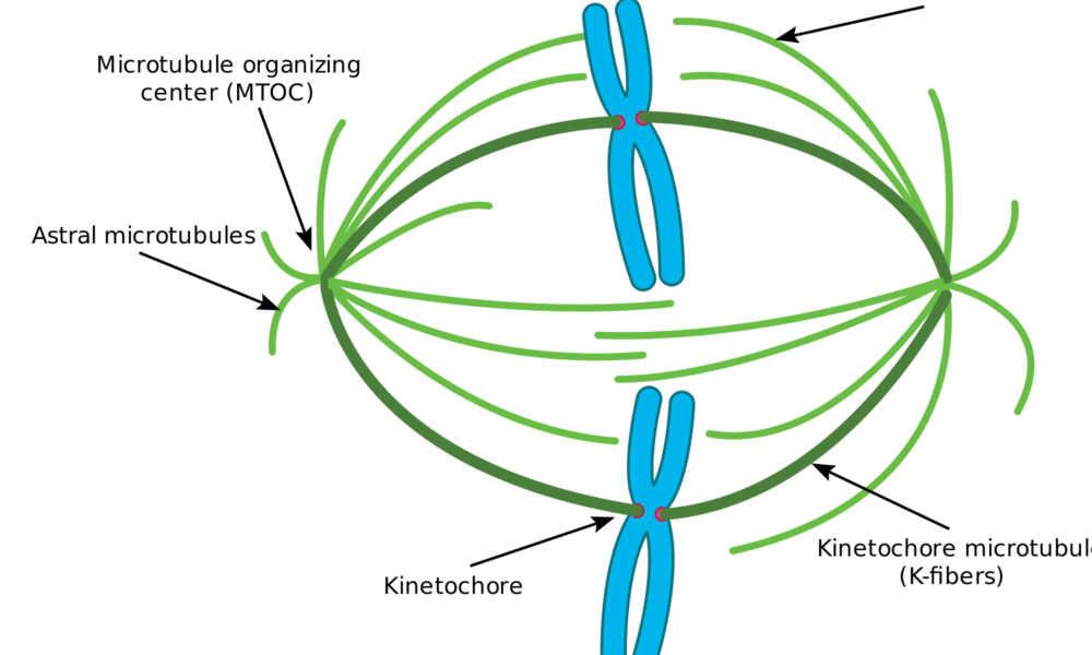 What are spindles made of? TechDIY.info
