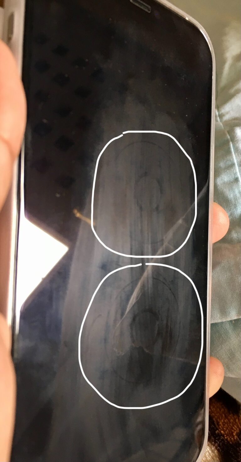 What are the two circles at the top of my iPhone?