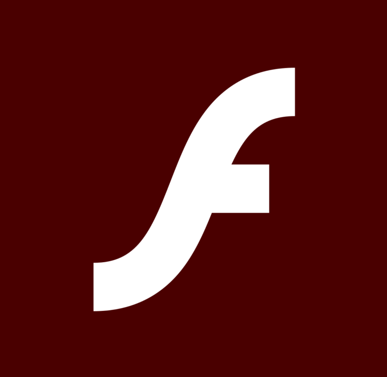 What can Adobe Flash do?