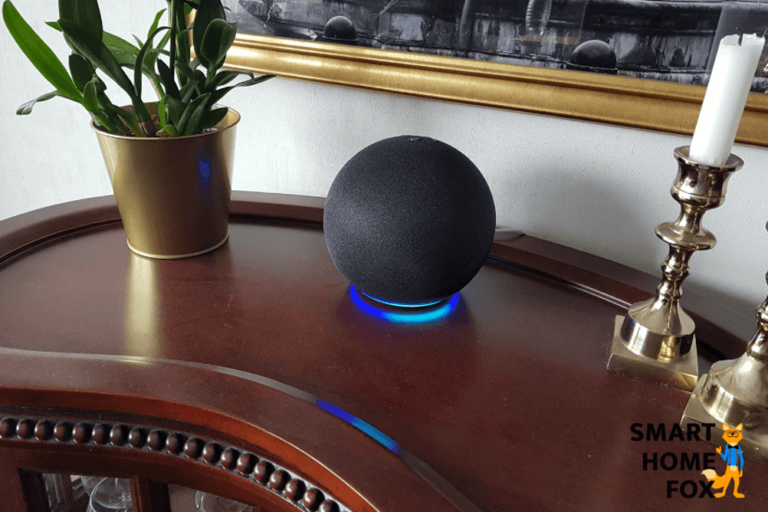 Hvilken farve skal Alexa være?