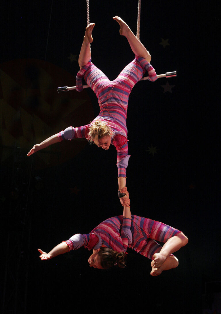 What do trapeze do in a circus?
