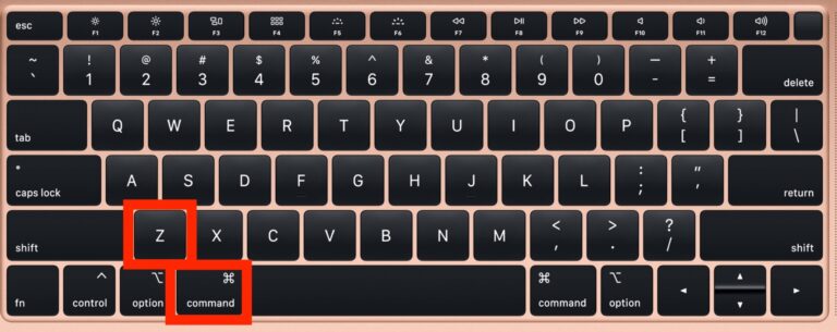 What does Command Z do?