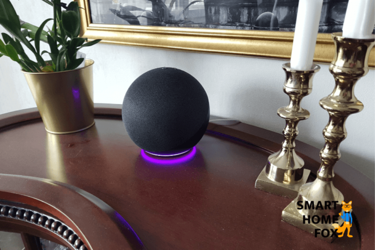 Hvad betyder det, når Alexa lyser lilla?