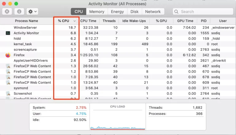 What is the kernel task on Mac?