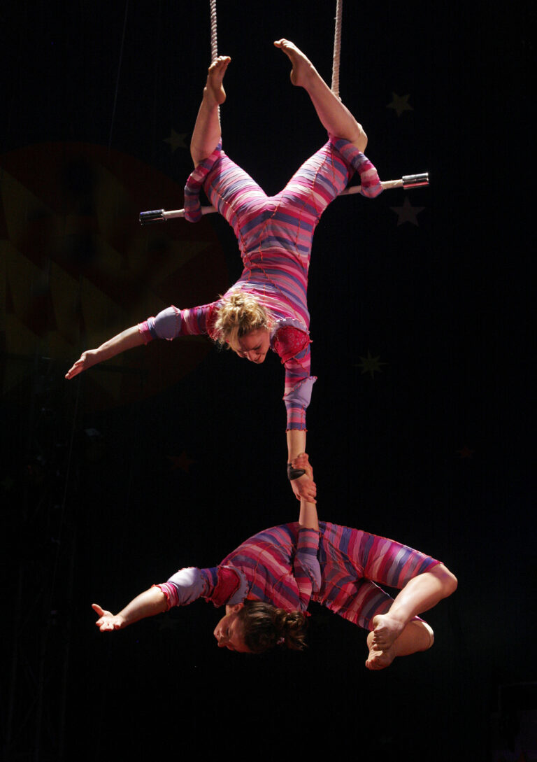 What is the name of the Acrobat that hangs upside down in a circus?
