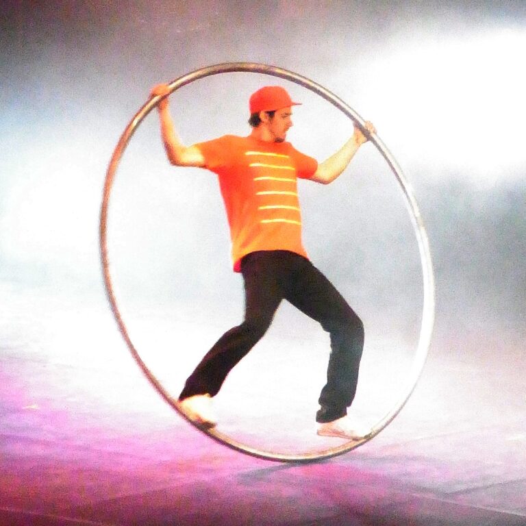 What is the wheel in the circus called?