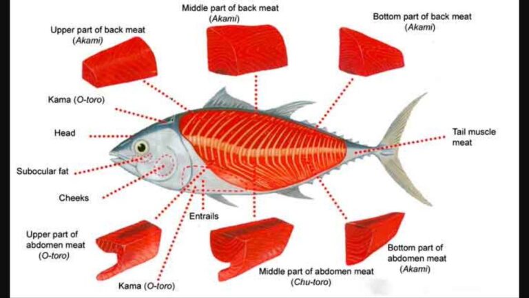 What part of tuna is most expensive?