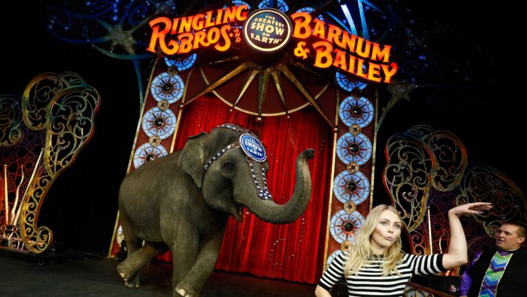When did the circus end?