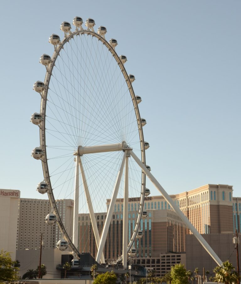 Where is the tallest observation wheel?