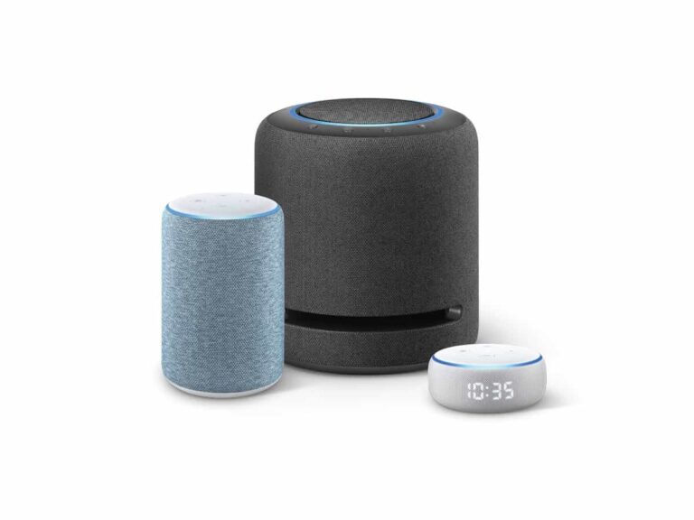 Which Echo devices support motion detection?