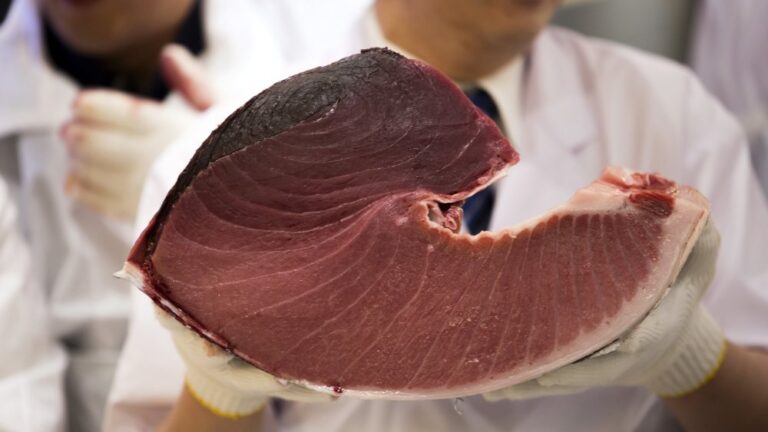Why are tuna steaks so expensive?