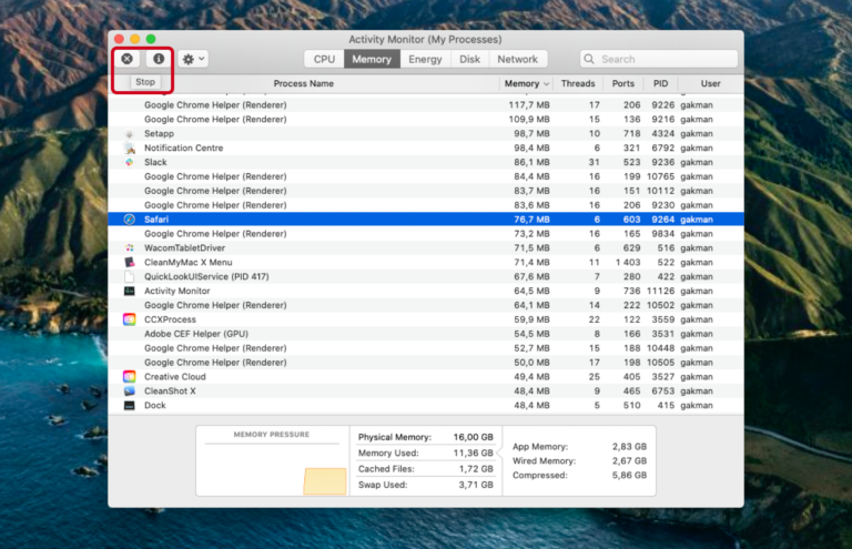 Why is my RAM usage so high Mac?