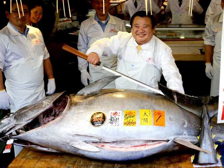 Why is tuna so cheap and expensive?