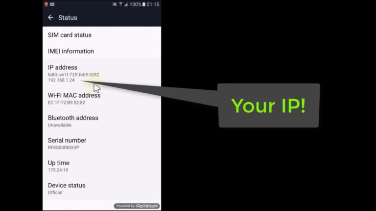 Does a cell phone have an IP address?