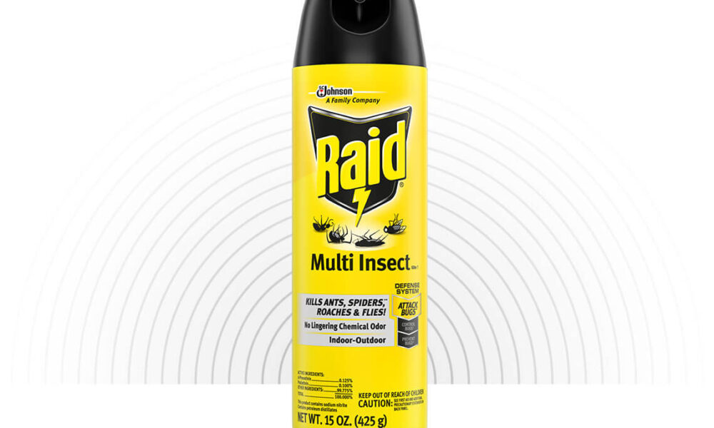 Does RAID keep killing? TechDIY.info