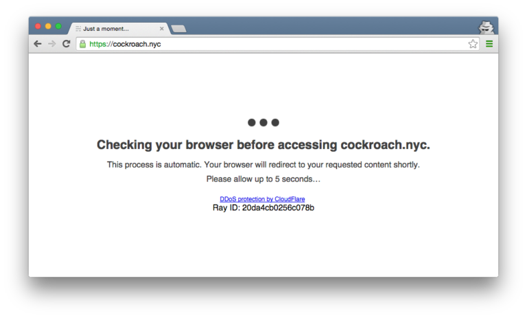 How do I get rid of DDoS protection by CloudFlare?