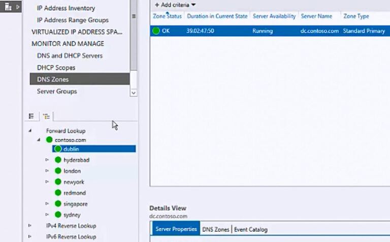 How do I view DNS records in Windows?