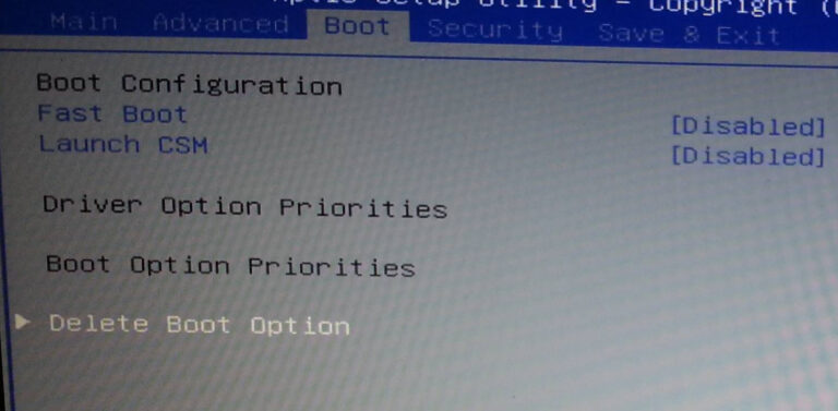 Can see HDD in BIOS but not in Windows?