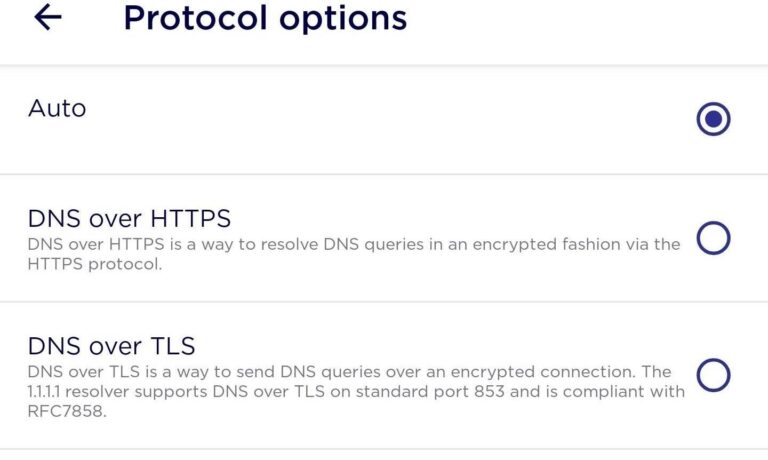 Does 1.1.1.1 hide my browsing history?