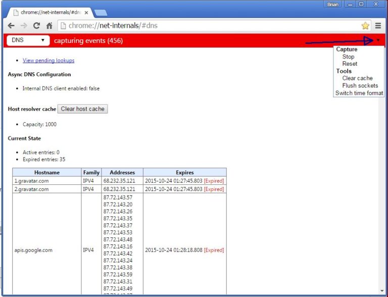What is Chrome net internals DNS?