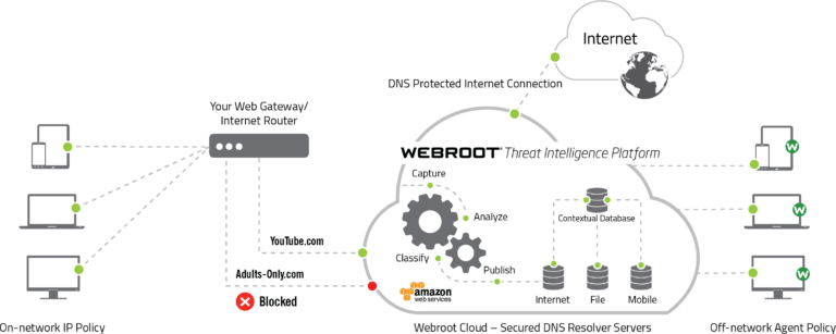 What is DNS protection?