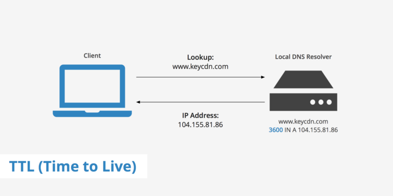 What is the default time to live for cached DNS entries?