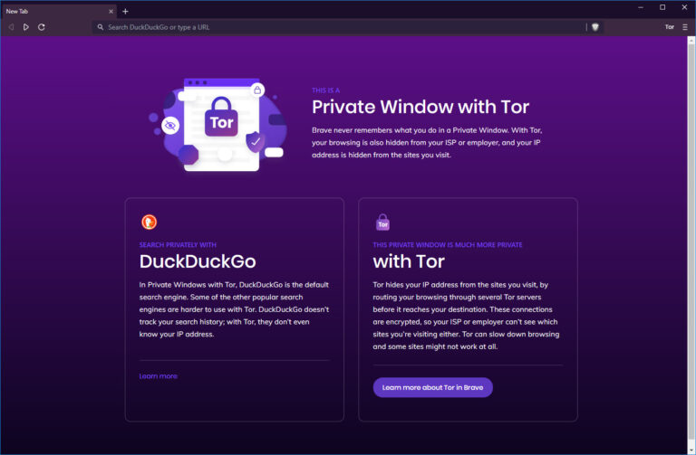 Which browser can hide IP address?