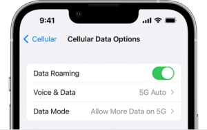 Why does my iPhone record my conversations? | TechDiy.info