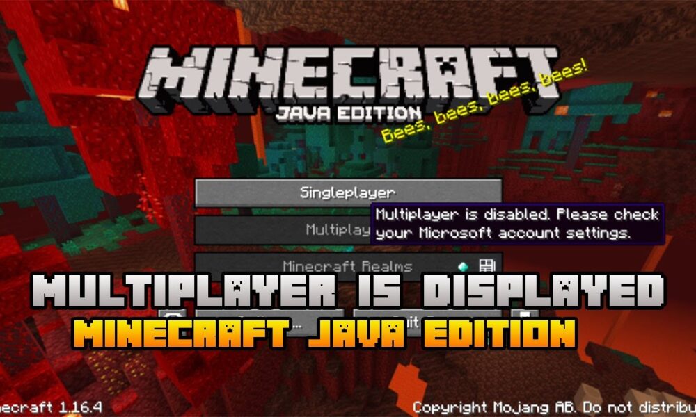 Warum ist mein MinecraftMultiplayer deaktiviert? TechDIY.info